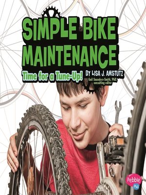 cover image of Simple Bike Maintenance